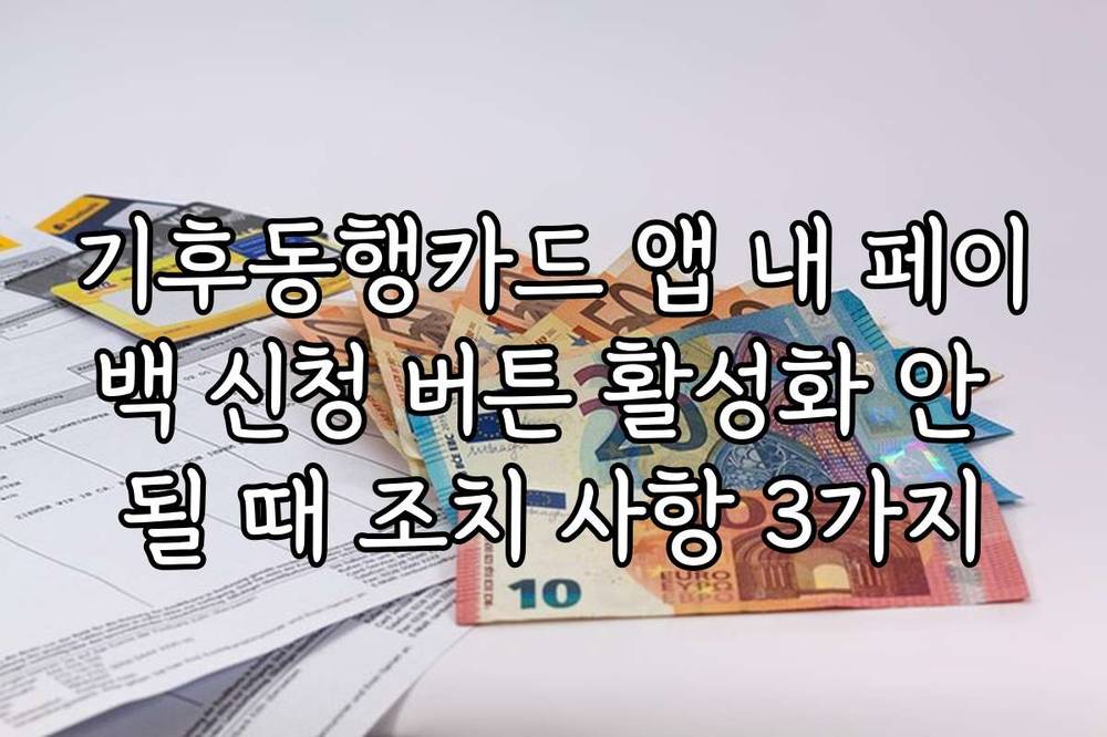 기후동행카드 앱 내 페이백 신청 버튼 활성화 안 될 때 조치 사항 3가지