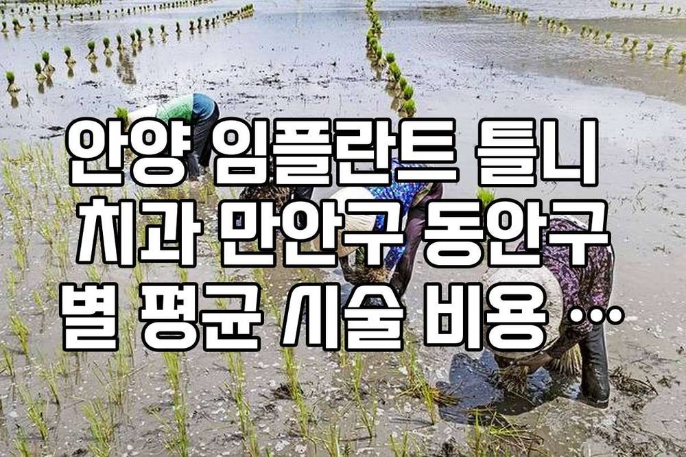 안양 임플란트 틀니 치과 만안구 동안구별 평균 시술 비용 차이 분석