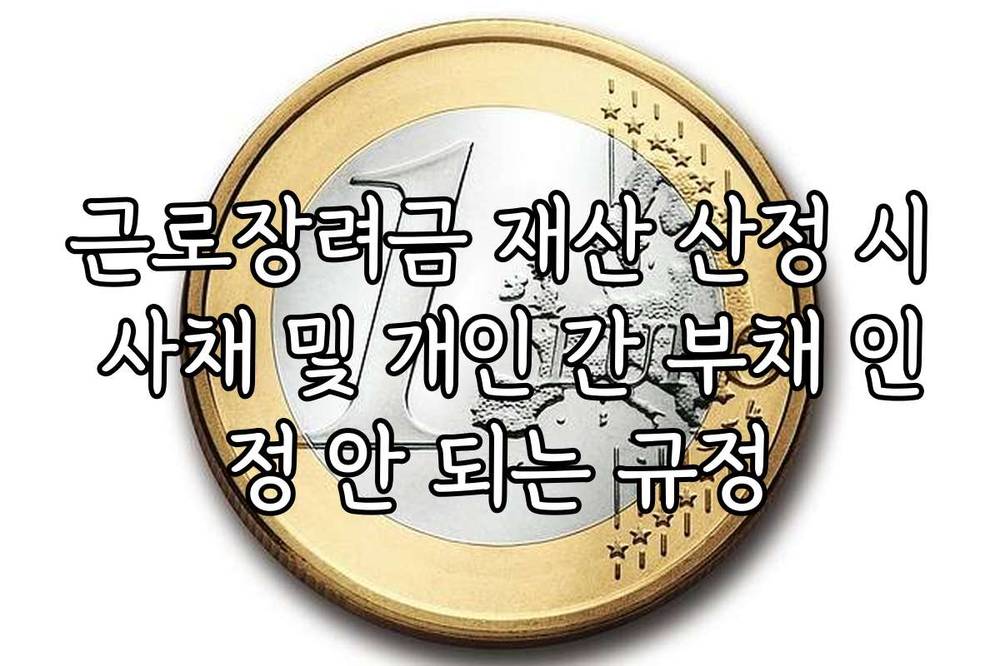 근로장려금 재산 산정 시 사채 및 개인 간 부채 인정 안 되는 규정