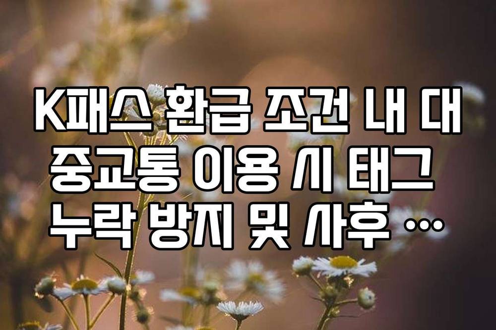K패스 환급 조건 내 대중교통 이용 시 태그 누락 방지 및 사후 처리 팁