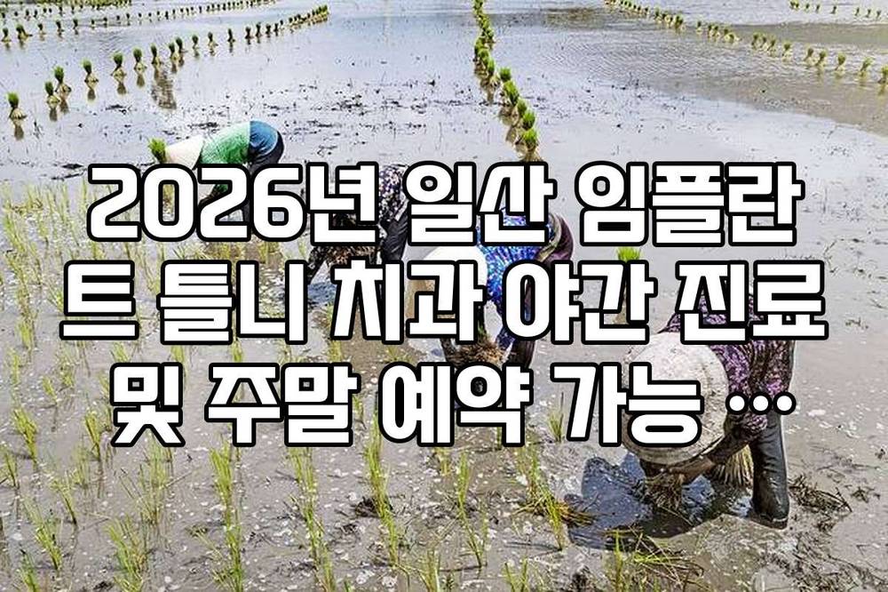 2026년 일산 임플란트 틀니 치과 야간 진료 및 주말 예약 가능 지점 정리