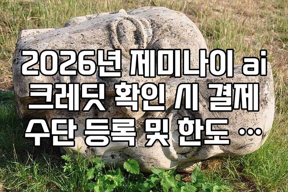 2026년 제미나이 ai 크레딧 확인 시 결제 수단 등록 및 한도 설정 방법