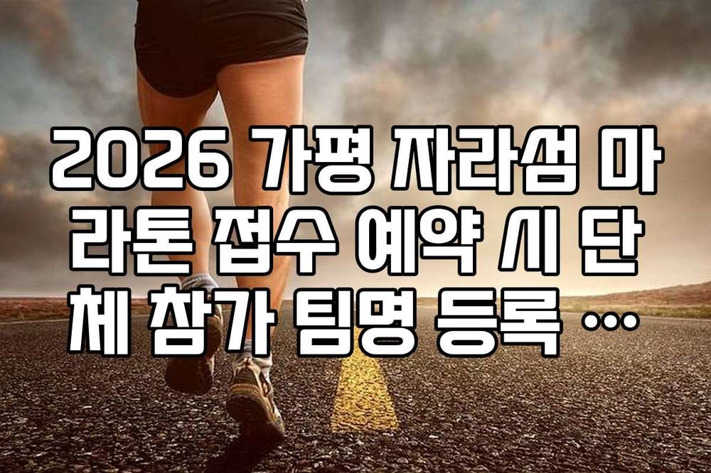 2026 가평 자라섬 마라톤 접수 예약 시 단체 참가 팀명 등록 방법