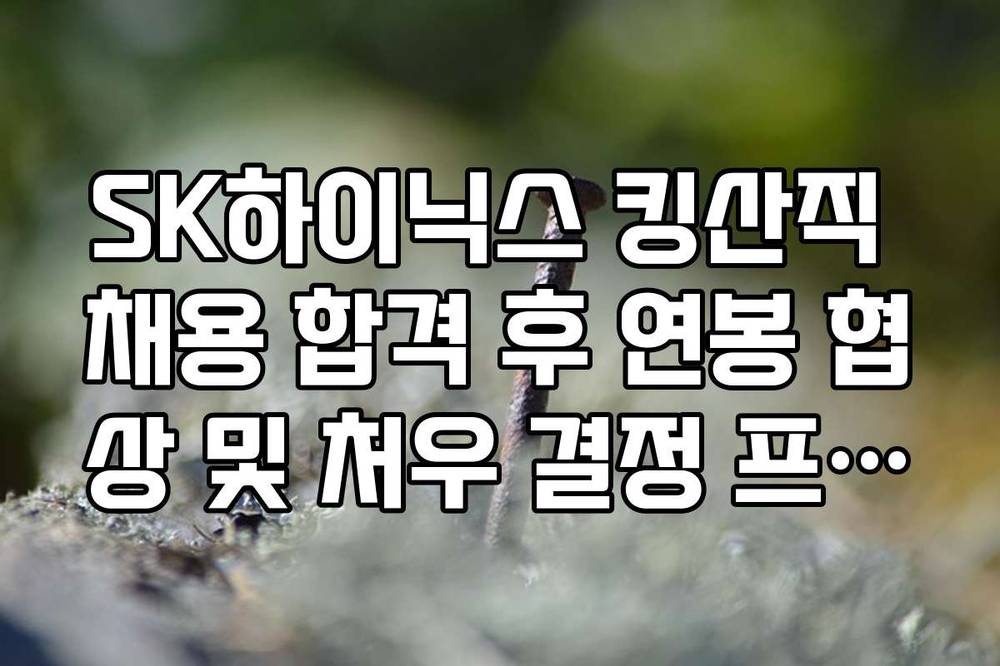 SK하이닉스 킹산직 채용 합격 후 연봉 협상 및 처우 결정 프로세스