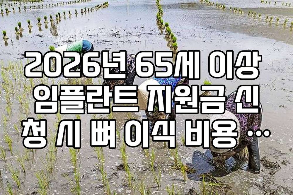 2026년 65세 이상 임플란트 지원금 신청 시 뼈 이식 비용 포함 여부 확인