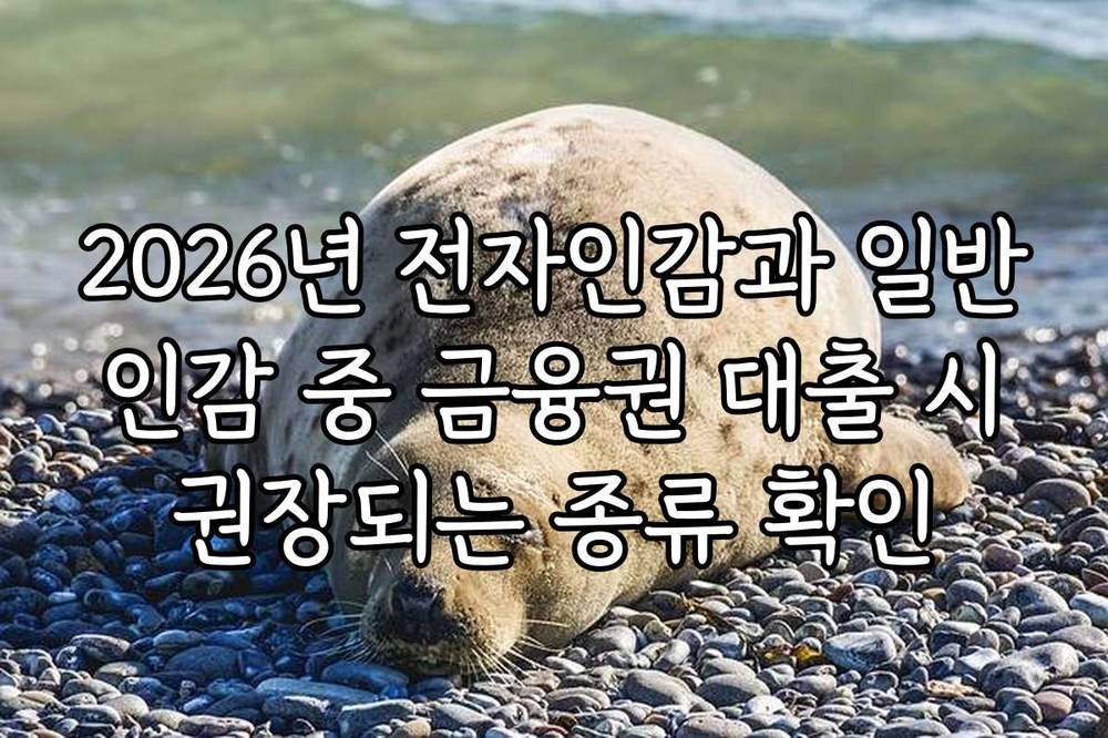 2026년 전자인감과 일반 인감 중 금융권 대출 시 권장되는 종류 확인