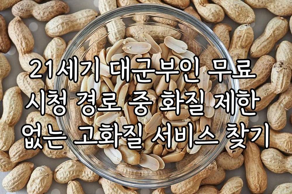 21세기 대군부인 무료 시청 경로 중 화질 제한 없는 고화질 서비스 찾기