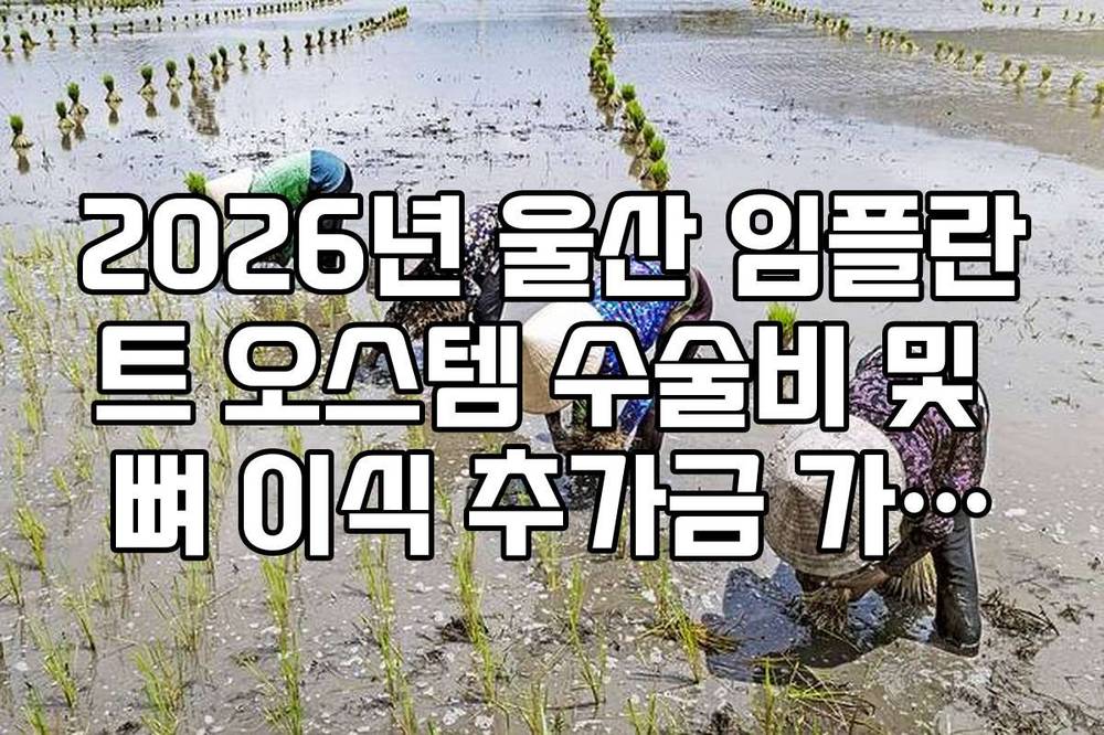 2026년 울산 임플란트 오스템 수술비 및 뼈 이식 추가금 가이드