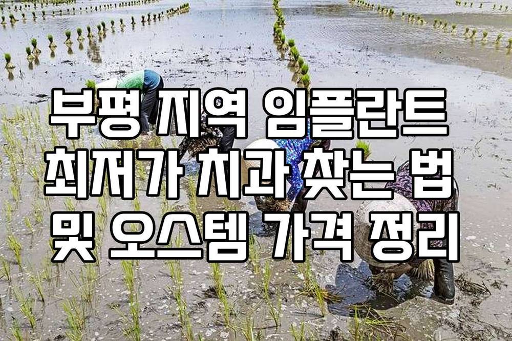 부평 지역 임플란트 최저가 치과 찾는 법 및 오스템 가격 정리
