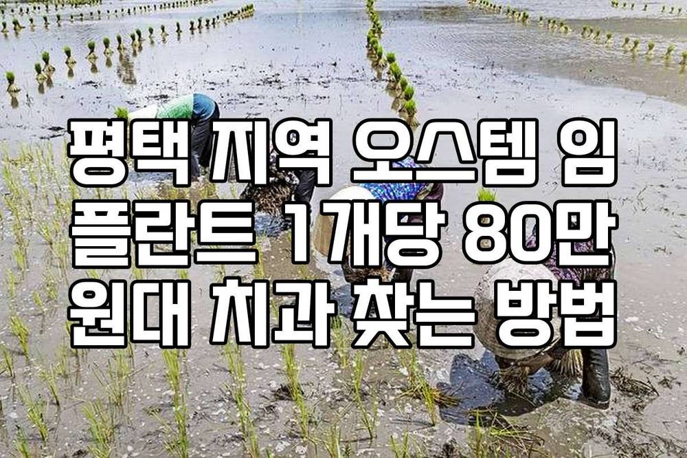 평택 지역 오스템 임플란트 1개당 80만원대 치과 찾는 방법