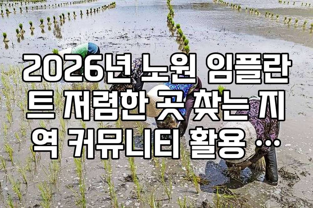 2026년 노원 임플란트 저렴한 곳 찾는 지역 커뮤니티 활용 노하우