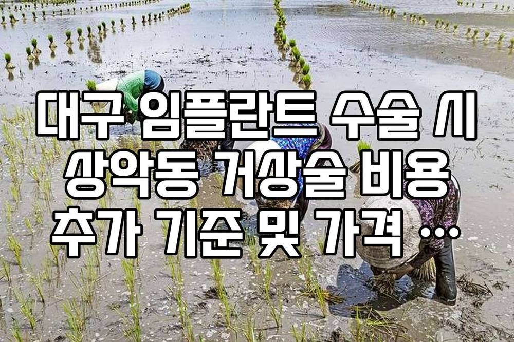 대구 임플란트 수술 시 상악동 거상술 비용 추가 기준 및 가격 정리