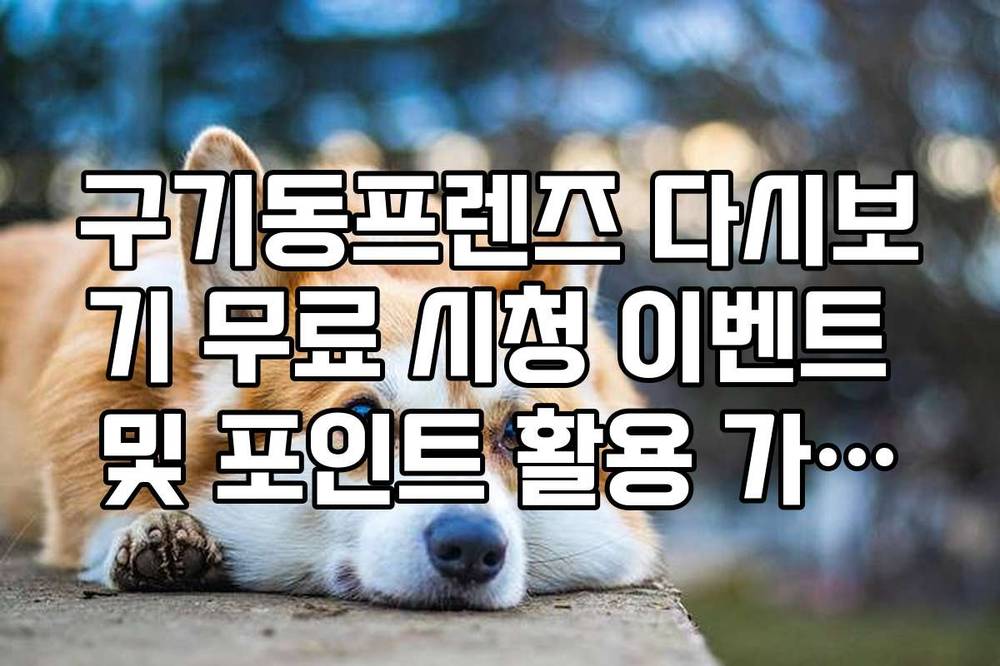 구기동프렌즈 다시보기 무료 시청 이벤트 및 포인트 활용 가이드