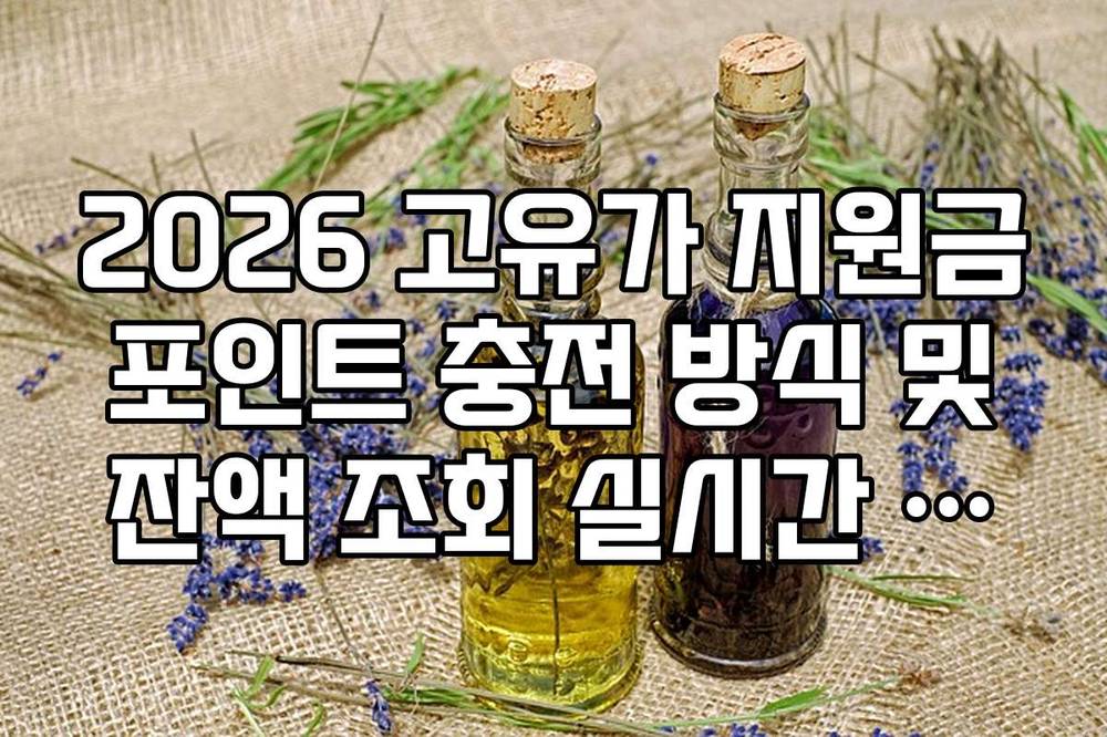 2026 고유가 지원금 포인트 충전 방식 및 잔액 조회 실시간 방법