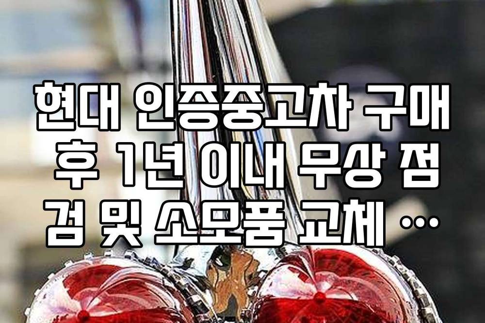 현대 인증중고차 구매 후 1년 이내 무상 점검 및 소모품 교체 서비스