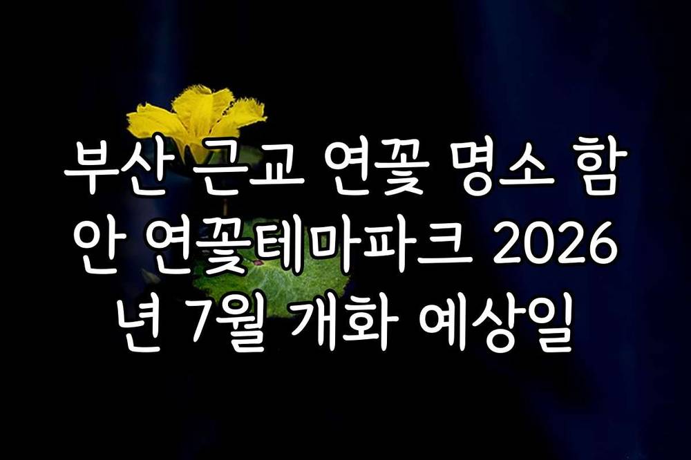 부산 근교 연꽃 명소 함안 연꽃테마파크 2026년 7월 개화 예상일