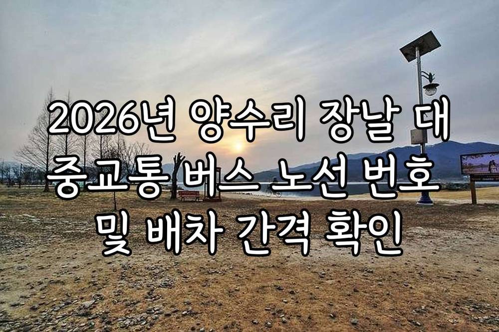 2026년 양수리 장날 대중교통 버스 노선 번호 및 배차 간격 확인