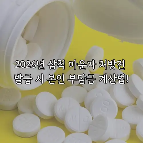 2026년 삼척 마운자 처방전 발급 시 본인 부담금 계산법!