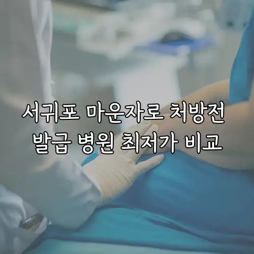 서귀포 마운자로 처방전 발급 병원 최저가 비교
