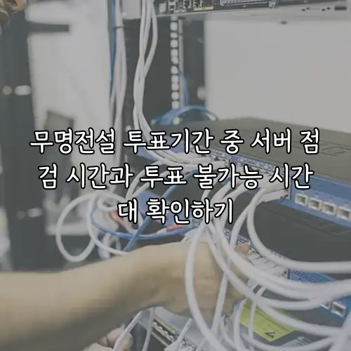 무명전설 투표기간 중 서버 점검 시간과 투표 불가능 시간대 확인하기