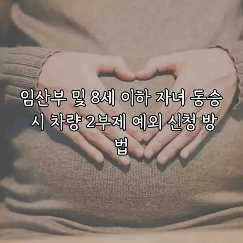임산부 및 8세 이하 자녀 동승 시 차량 2부제 예외 신청 방법