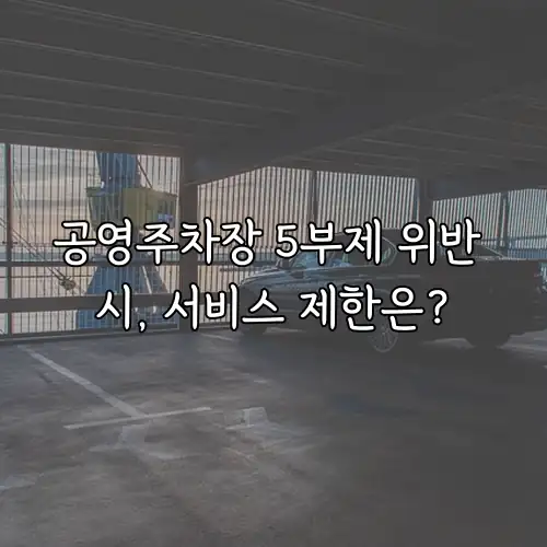 공영주차장 5부제 위반 시, 서비스 제한은?