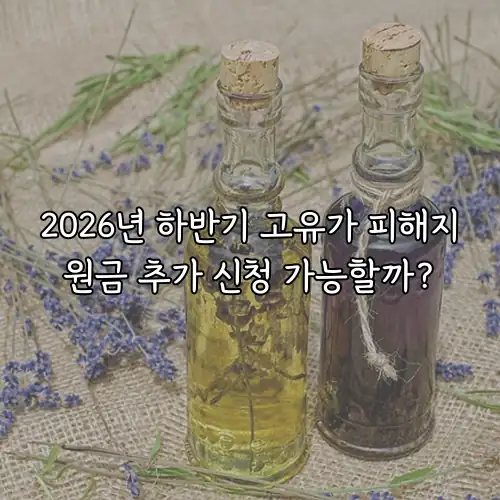 2026년 하반기 고유가 피해지원금 추가 신청 가능할까?