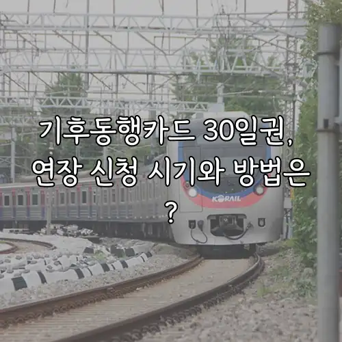 기후동행카드 30일권, 연장 신청 시기와 방법은?