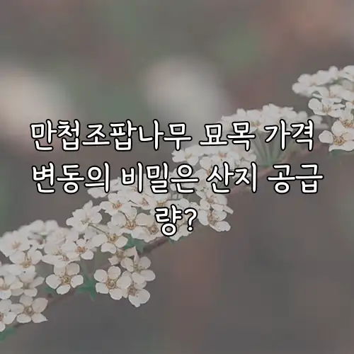 만첩조팝나무 묘목 가격 변동의 비밀은 산지 공급량?