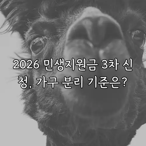 2026 민생지원금 3차 신청, 가구 분리 기준은?