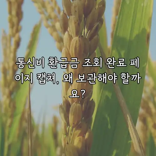 통신비 환급금 조회 완료 페이지 캡쳐, 왜 보관해야 할까요?