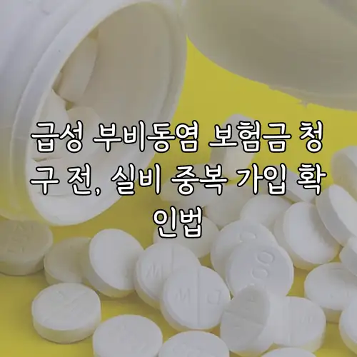 급성 부비동염 보험금 청구 전, 실비 중복 가입 확인법