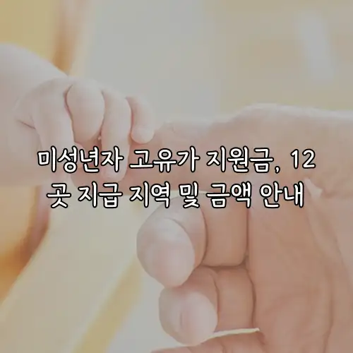 미성년자 고유가 지원금, 12곳 지급 지역 및 금액 안내