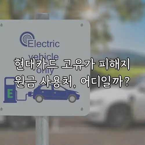 현대카드 고유가 피해지원금 사용처, 어디일까?