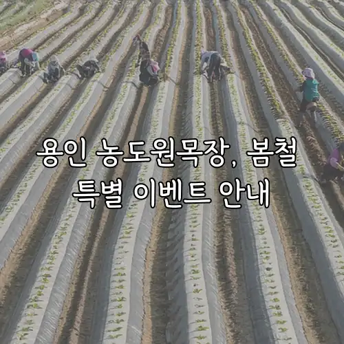 용인 농도원목장, 봄철 특별 이벤트 안내