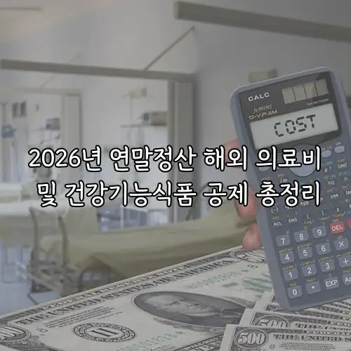 2026년 연말정산 해외 의료비 및 건강기능식품 공제 총정리