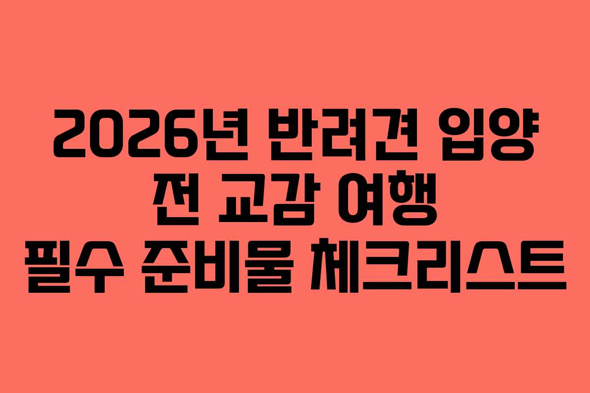 2026년 반려견 입양 전 교감 여행 필수 준비물 체크리스트