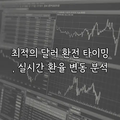 최적의 달러 환전 타이밍, 실시간 환율 변동 분석