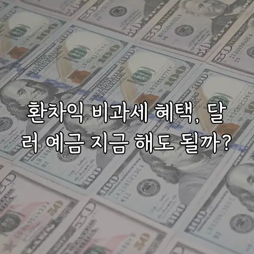 환차익 비과세 혜택, 달러 예금 지금 해도 될까?