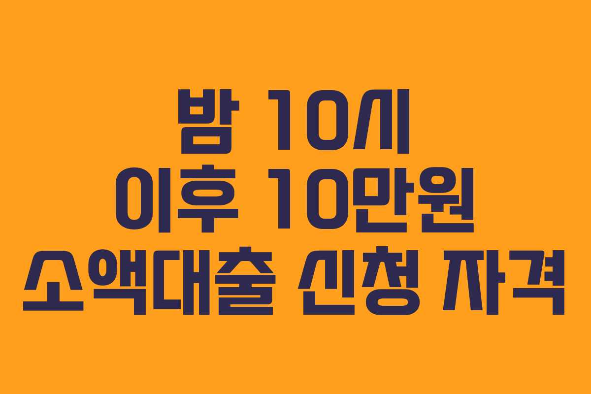 밤 10시 이후 10만원 소액대출 신청 자격