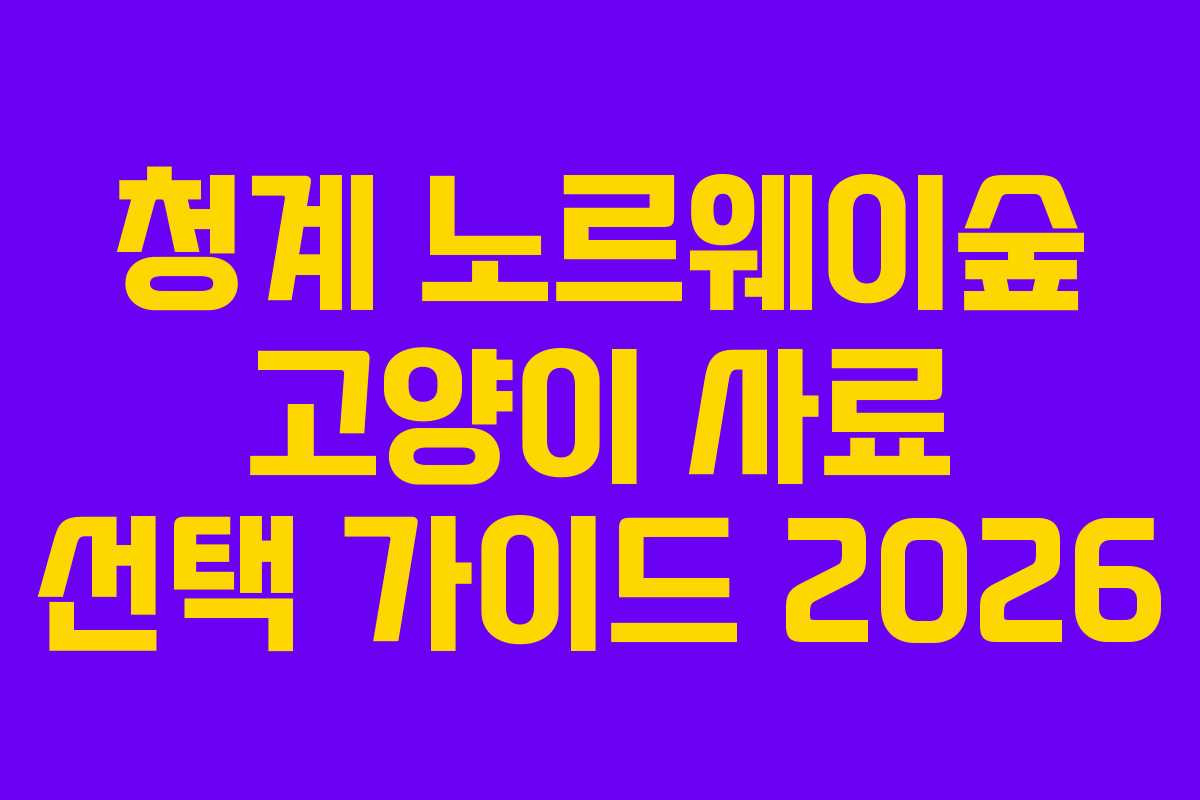 청계 노르웨이숲 고양이 사료 선택 가이드 2026