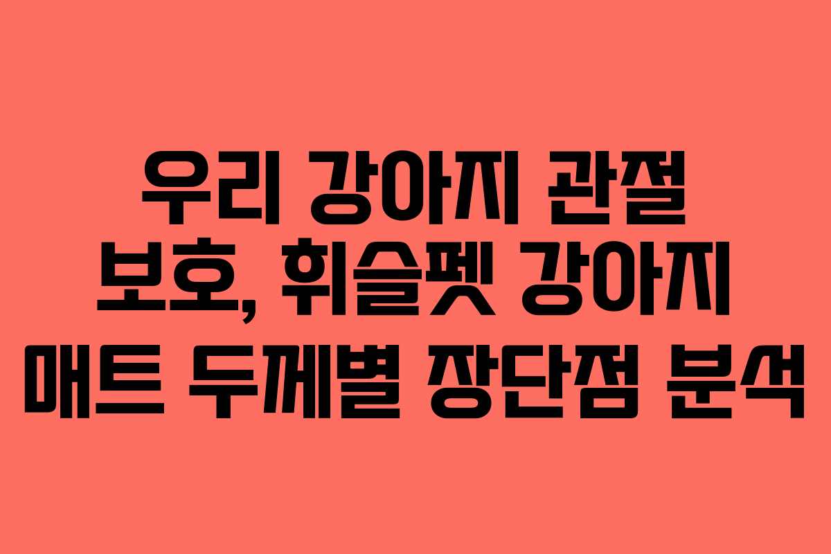 우리 강아지 관절 보호, 휘슬펫 강아지 매트 두께별 장단점 분석