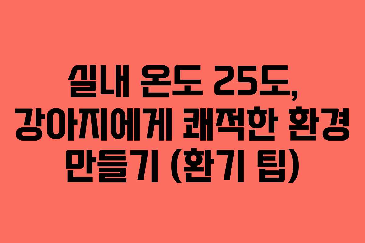 실내 온도 25도, 강아지에게 쾌적한 환경 만들기 (환기 팁)